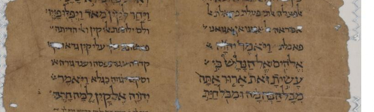תרגום התורה לרב סעדיה גאון